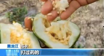 平邑吃瓜最新事件爆料,揭秘背后惊人真相，网络热议持续升温